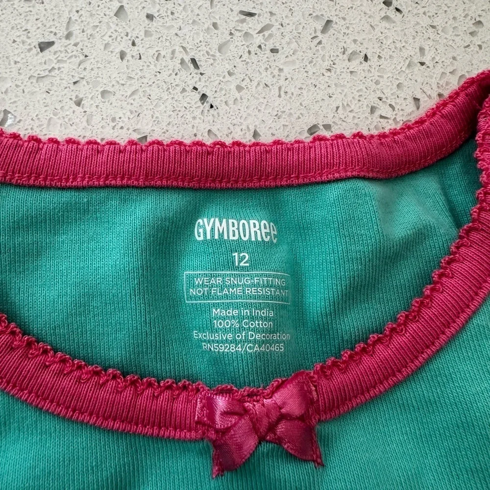 Gymboree Teal and Pink Flamingo Pajama Set
